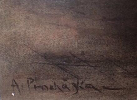 KOŇSKÝ POVOZ - PROCHÁZKA ANTONÍN V.