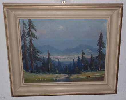 KRAJINA BESKYDY - RASZKA (RAŠKA) VLADIMÍR PAVEL JÓZEF