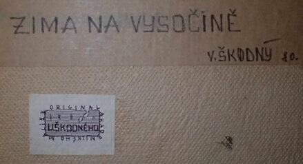 ZIMA NA VYSOČINĚ - ŠKODNÝ VÁCLAV
