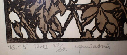 CHRÁM U ŘEKY 1912 - ARL FRANZ