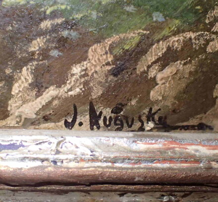 VLČÍ MÁKY V KRAJINĚ - AUGUSTA J.