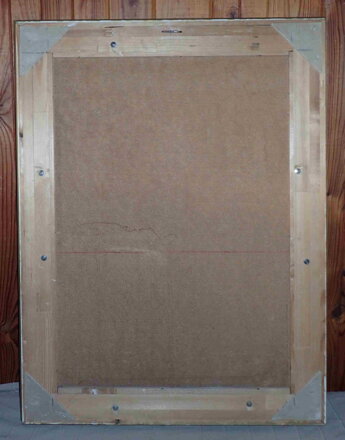 ZŘÍCENINA HRADU ŠELMBERK - BLAHUŠEK EVŽEN