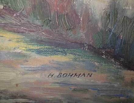 LABSKÉ TŮNĚ - BOHMAN HANUŠ