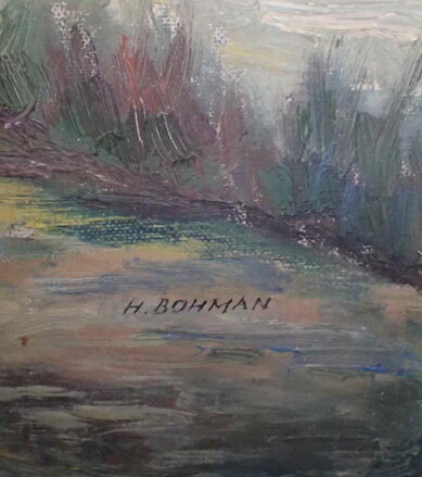 LABSKÉ TŮNĚ - BOHMAN HANUŠ