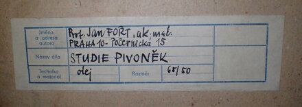 STUDIE PIVONĚK - FOŘT JAN