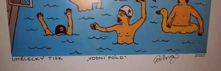VODNÍ PÓLO - ČECH RINGO FRANTIŠEK