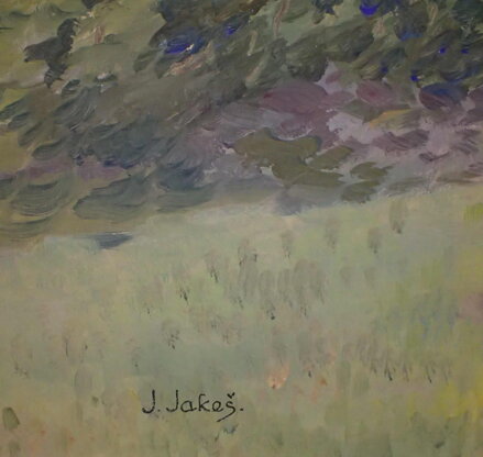 SLUNCE ZA MRAKY ŽĎÁNOV - JAKEŠ J.