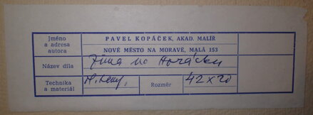 ZIMA NA HORÁCKU - KOPÁČEK PAVEL