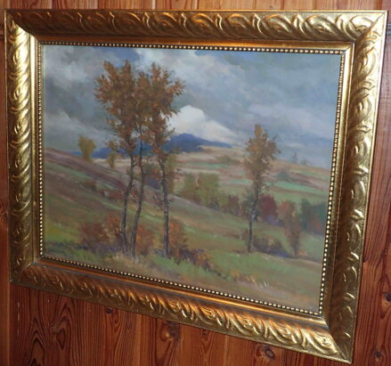 MRAKY NAD KRAJINOU - LINHART RUDOLF
