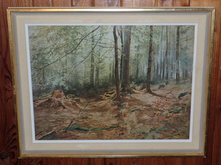 VNITŘEK LESA - MAŘÁK JULIUS EDVARD