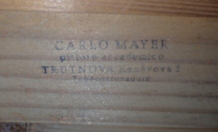 ŠEŘÍKY VE VÁZE - MAYER CHARLES