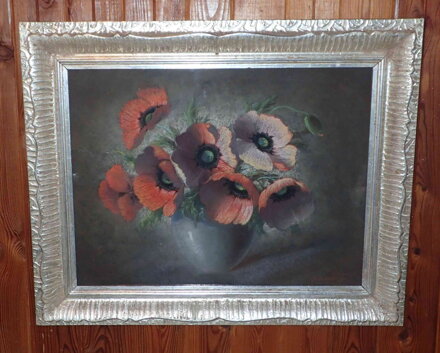 VLČÍ MÁKY - MAYER CHARLES