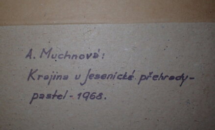 KRAJINA U JESENICKÉ PŘEHRADY - MUCHNOVÁ A.