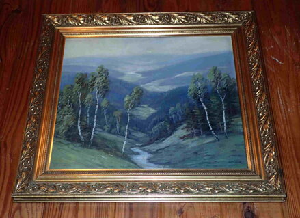 CESTA DO ÚDOLÍ - ŠPITNÍK LADISLAV J.
