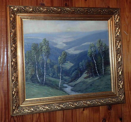 CESTA DO ÚDOLÍ - ŠPITNÍK LADISLAV J.