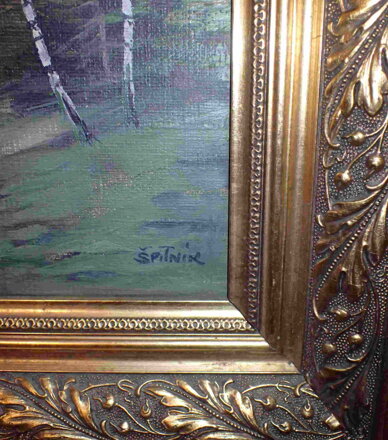 CESTA DO ÚDOLÍ - ŠPITNÍK LADISLAV J.