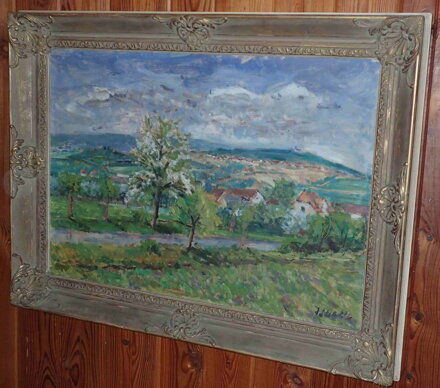 KRAJINA U ZBRASLAVI - STEHLÍK JINDŘICH