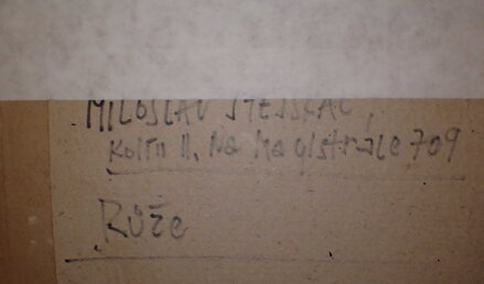 RŮŽE - STEJSKAL MILOSLAV