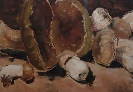PRAVÁCI - VONDRÁČEK JOSEF