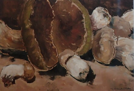 PRAVÁCI - VONDRÁČEK JOSEF