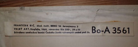 VELKÝ AKT - BIČ FRANTIŠEK