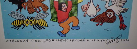PORUŠENÍ LETOVÉ HLADINY - ČECH RINGO FRANTIŠEK