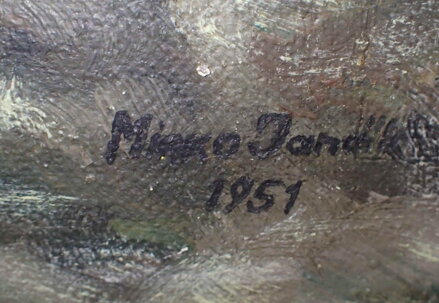 DIVOKÁ ORLICE - JANDÍK MIROSLAV