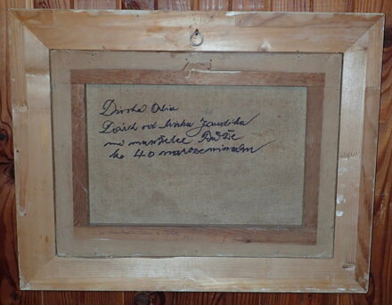 DIVOKÁ ORLICE - JANDÍK MIROSLAV