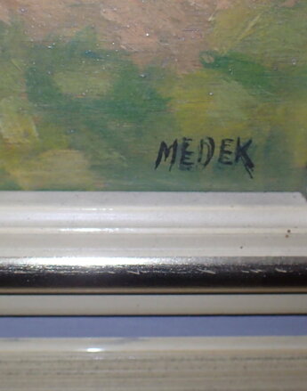 VESNICKÉ ZÁKOUTÍ - MEDEK JAN
