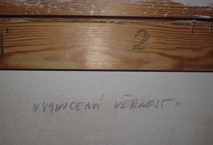 VYNUCENÁ VĚRNOST - MIKYŠKA RUDOLF