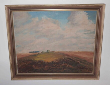 MRAKY NAD KRAJINOU - ŘEBÍČEK LADISLAV