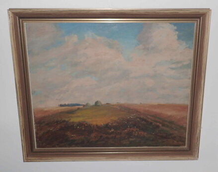 MRAKY NAD KRAJINOU - ŘEBÍČEK LADISLAV