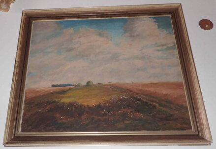 MRAKY NAD KRAJINOU - ŘEBÍČEK LADISLAV
