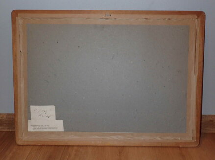 SNOPY ZA VESNICÍ - SLABÝ KAREŠ KAREL