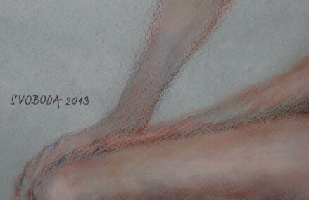 AKT SEDÍCÍ DÍVKY - SVOBODA KAREL