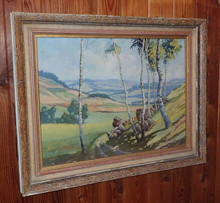 BŘÍZY U CESTY - TŘÍSKA