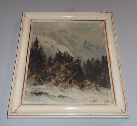 VYSOKÉ TATRY JAVOROVÁ DOLINA LADOVÝ ŠTÍT - ČAPLOVIČ PAVOL