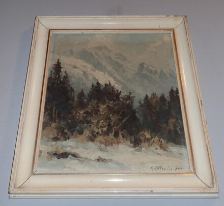VYSOKÉ TATRY JAVOROVÁ DOLINA LADOVÝ ŠTÍT - ČAPLOVIČ PAVOL