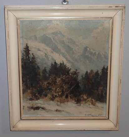 VYSOKÉ TATRY JAVOROVÁ DOLINA LADOVÝ ŠTÍT - ČAPLOVIČ PAVOL