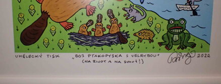 BOJ PTAKOPYSKA S VELRYBOU - ČECH RINGO FRANTIŠEK