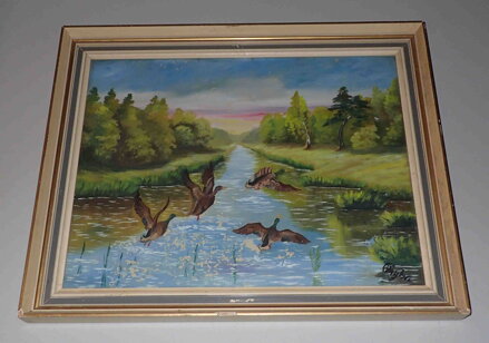 KACHNY NA ŘECE - CHYBA F.