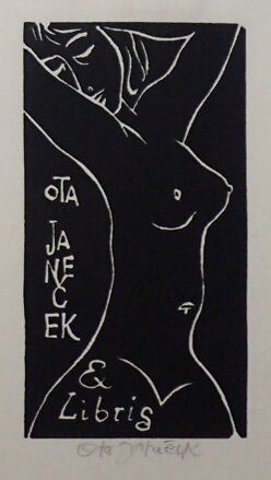 AKT DÍVKY S DLOUHÝMI VLASY - JANEČEK OTA