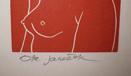 DÍVČÍ AKT - JANEČEK OTA