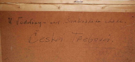 ČESKÁ TŘEBOVÁ U VODÁRNY NAD CHATOU ŠVABINSKÉHO - KOSTKA JIŘÍ