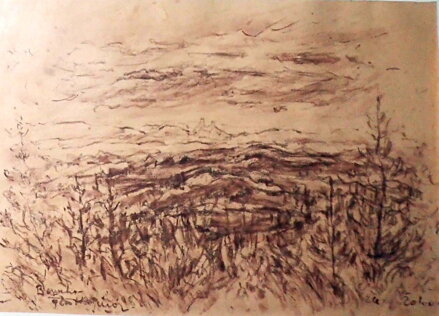 ŽALÝ BENECKO - KOSTKA JIŘÍ