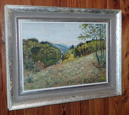 LOUKA NAD LESEM - NEZNÁMÝ AUTOR