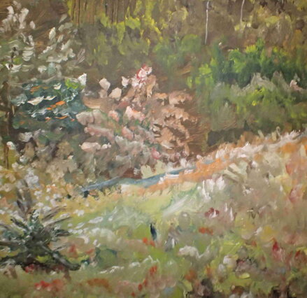 LOUKA NAD LESEM - NEZNÁMÝ AUTOR