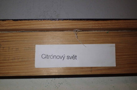 CITRÓNOVÝ SVĚT - MIKYŠKA RUDOLF