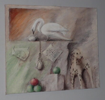 NEROVNÉ PŘÁTELSTVÍ - MIKYŠKA RUDOLF