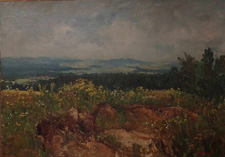 VYSOČINA OD SNĚŽNÉHO - POLANSKÝ JAROSLAV